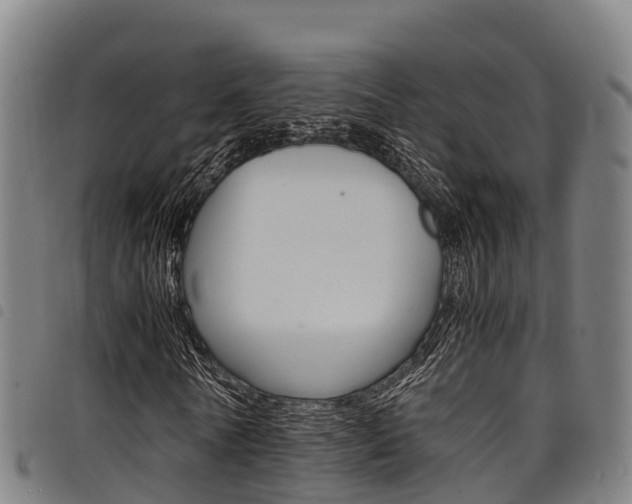 X0000098120770200804040823