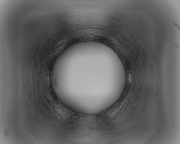 X0000098120771200804040823