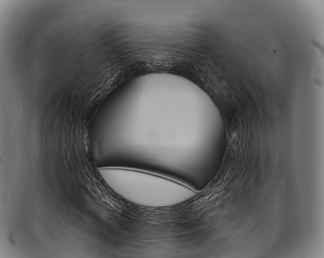 X0000098120772200804040823