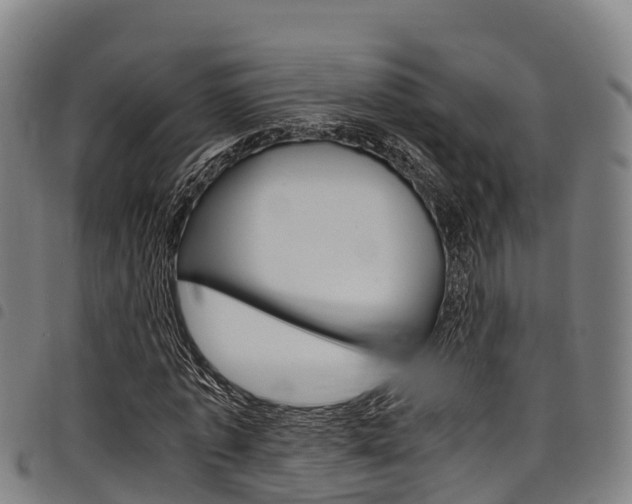 X0000098120773200804040823