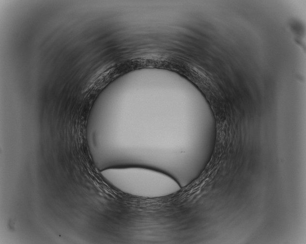 X0000098120774200804040823