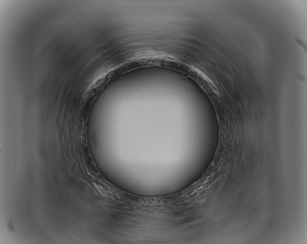 X0000098120775200804040823