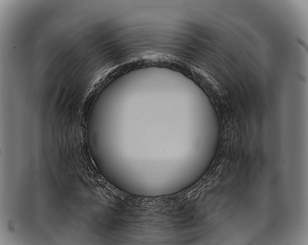 X0000098120776200804040823