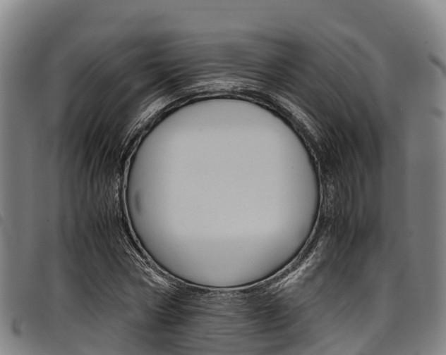 X0000098120778200804040823