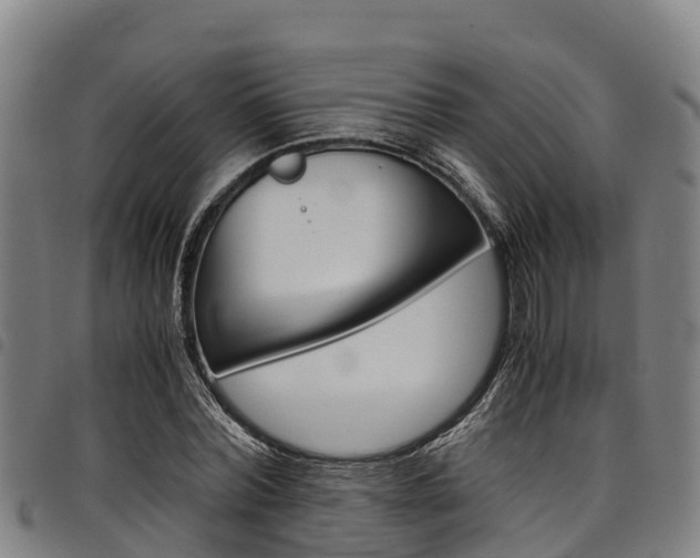 X0000098120780200804040823