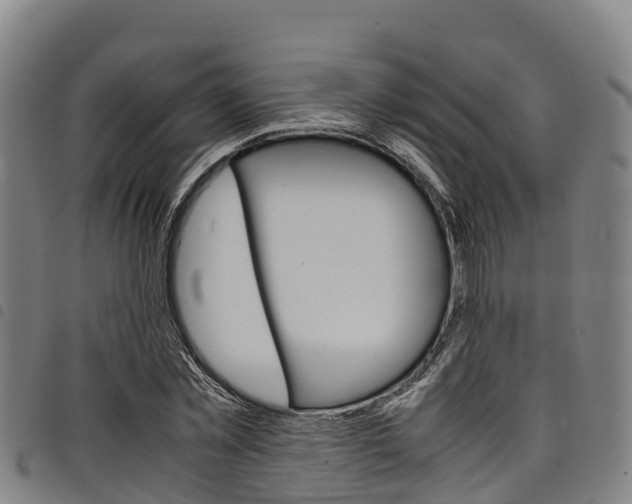 X0000098120781200804040823