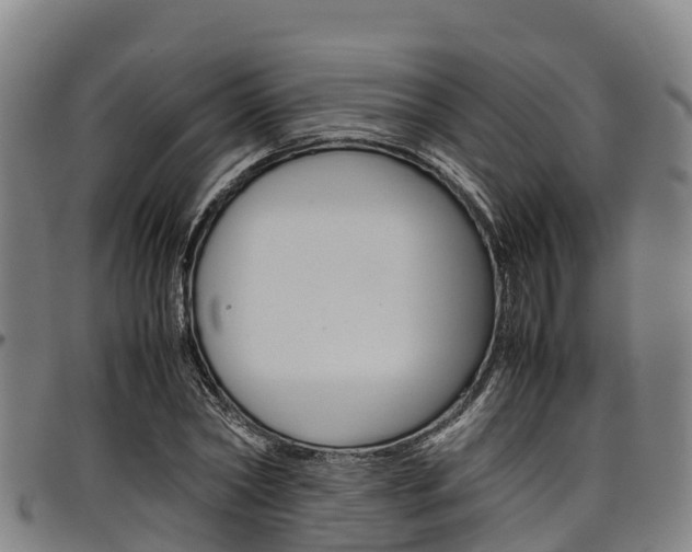 X0000098120782200804040823
