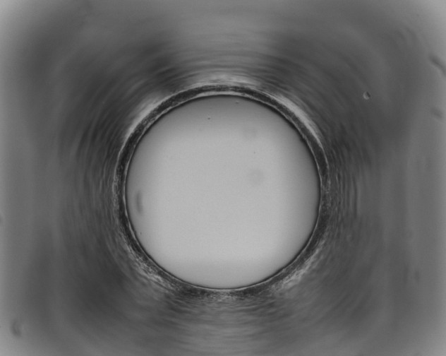 X0000098120783200804040823