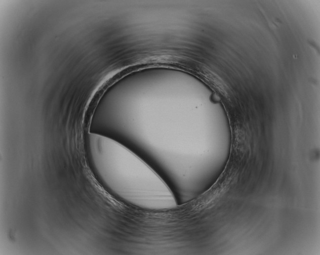 X0000098120784200804040823