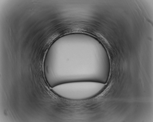 X0000098120785200804040823