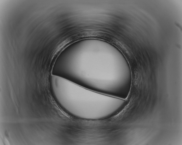 X0000098120786200804040823