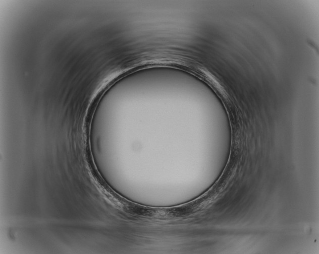 X0000098120787200804040823