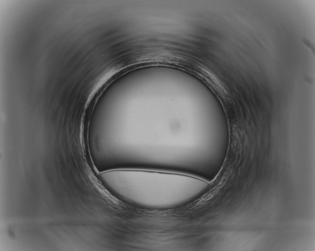 X0000098120788200804040823