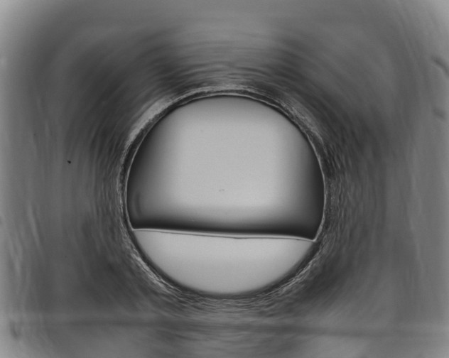 X0000098120789200804040823