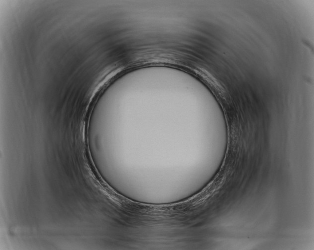 X0000098120790200804040823