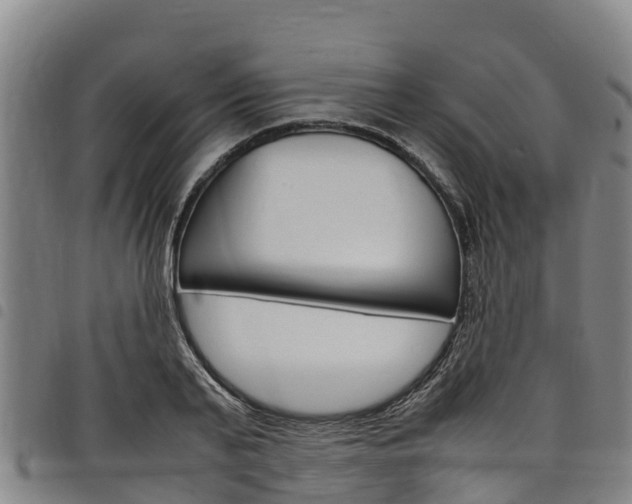 X0000098120791200804040823