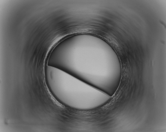 X0000098120792200804040823