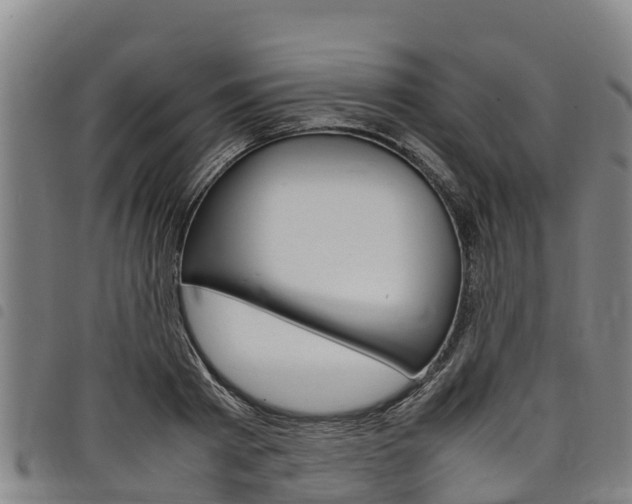 X0000098120793200804040823