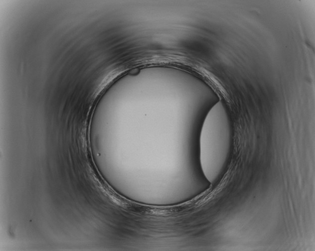 X0000098120794200804040823