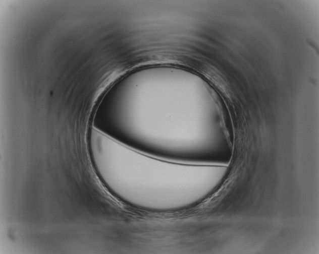 X0000098120797200804040823