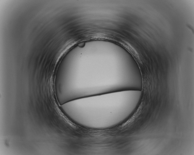 X0000098120798200804040823