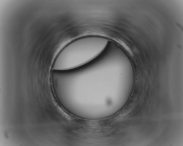X0000098120799200804040823