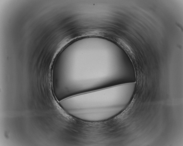 X0000098120800200804040822