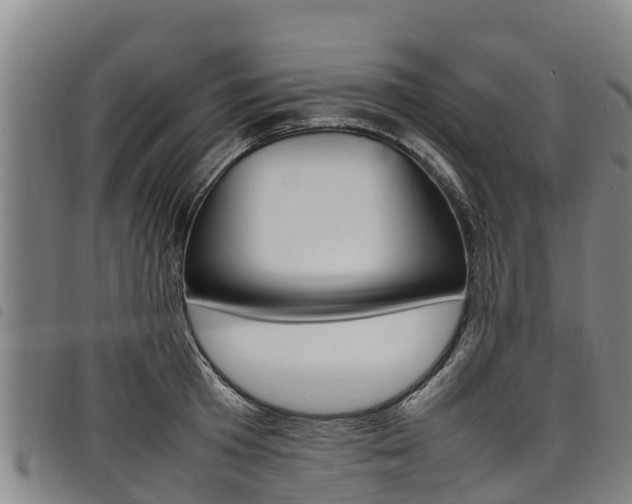 X0000098120801200804040822