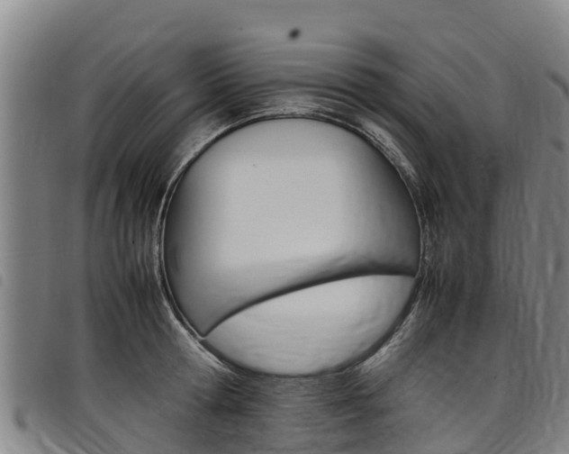 X0000098120802200804040822