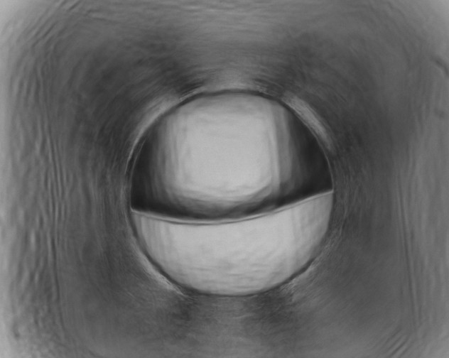X0000098120805200804040822