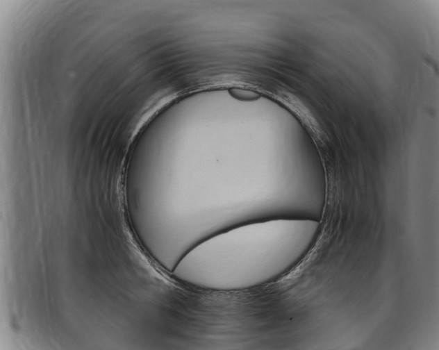 X0000098120806200804040822