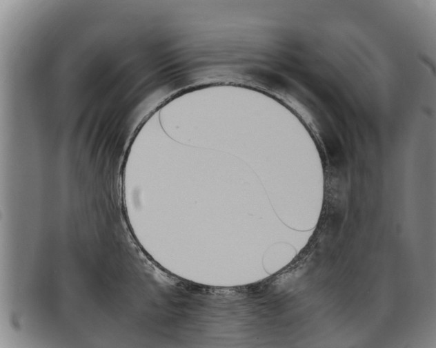 X0000098120807200804040822