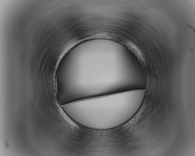X0000098120808200804040822