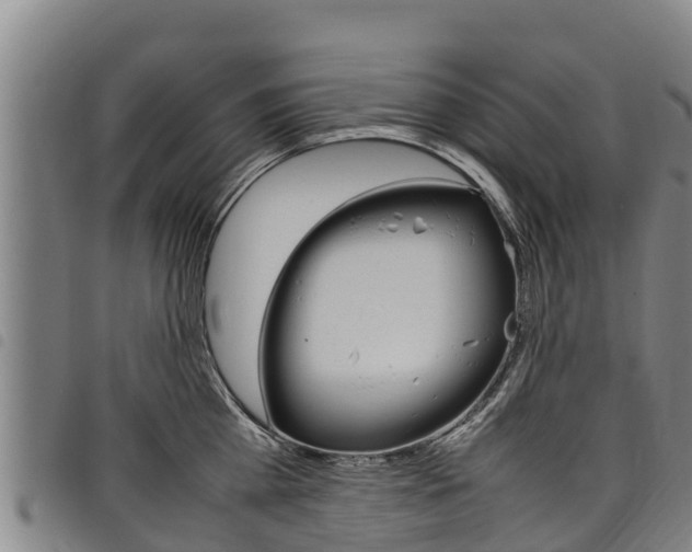 X0000098120809200804040822