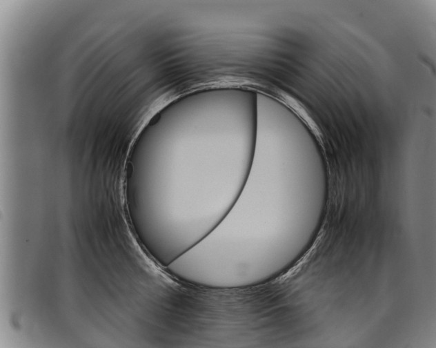 X0000098120810200804040822