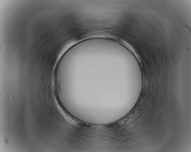 X0000098120811200804040822