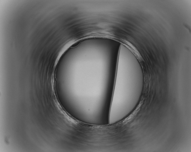 X0000098120812200804040822