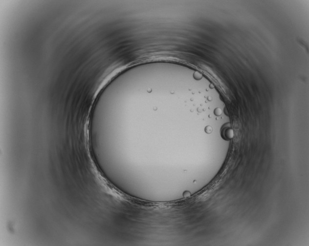 X0000098120814200804040822