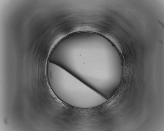 X0000098120815200804040822