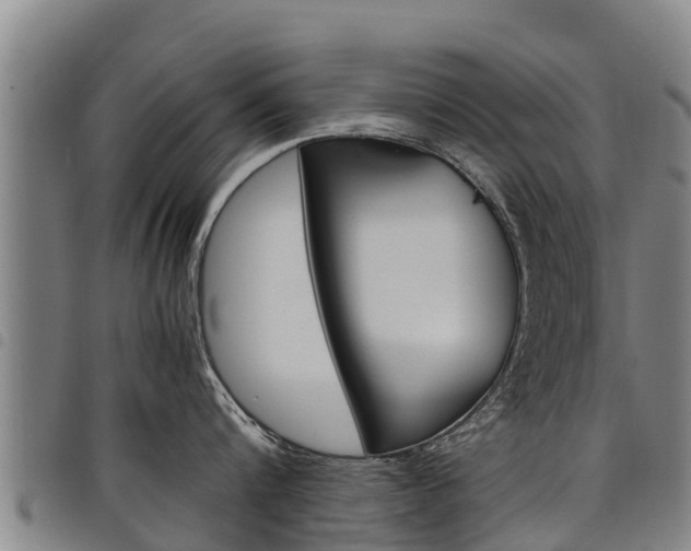 X0000098120816200804040822