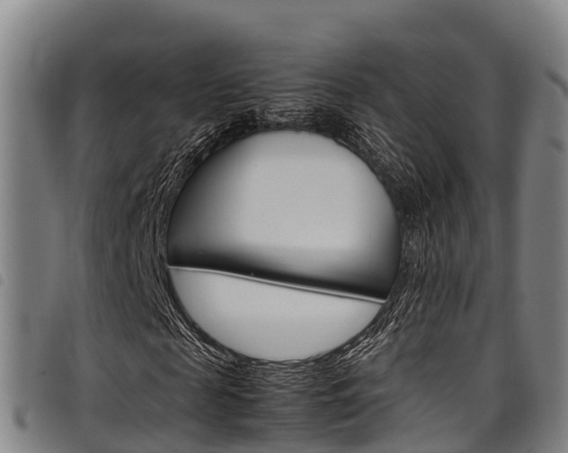 X0000098120817200804040822