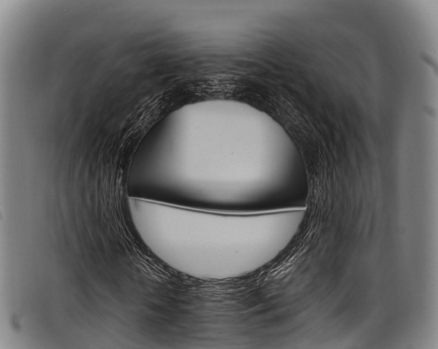X0000098120818200804040822