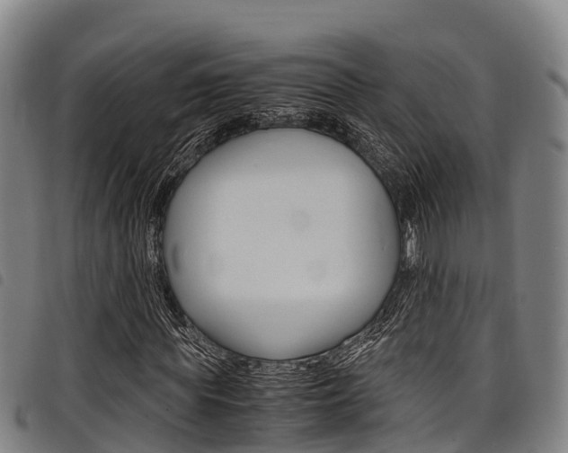 X0000098120819200804040822