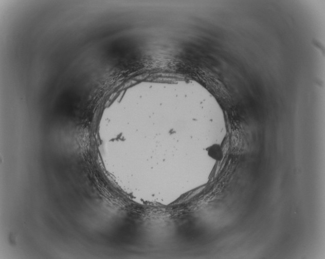 X0000098120820200804040822