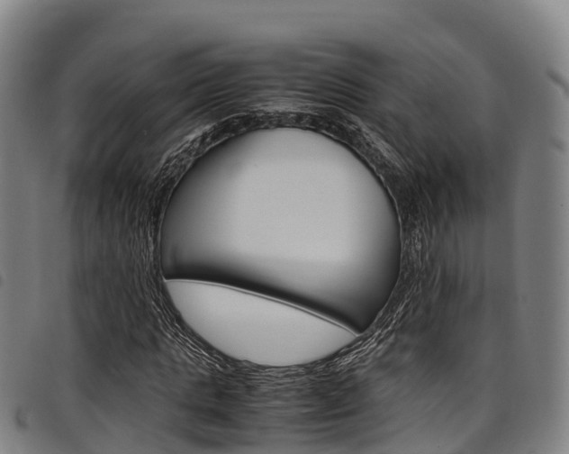 X0000098120821200804040822