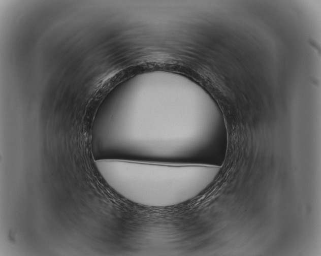 X0000098120822200804040822