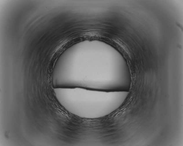 X0000098120823200804040822