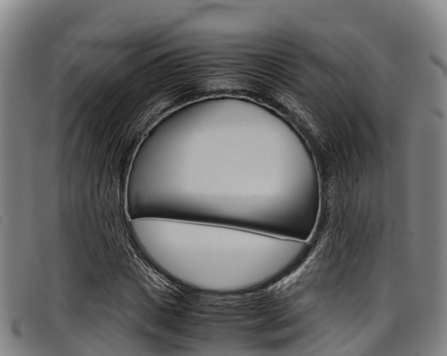 X0000098120825200804040822