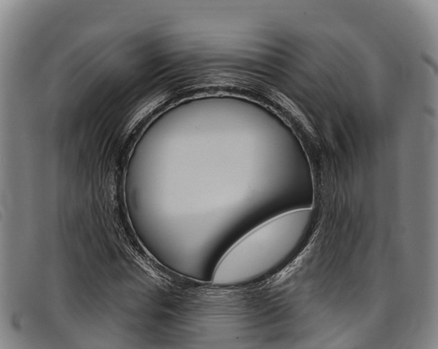 X0000098120826200804040822
