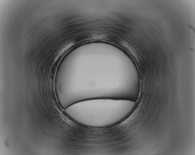 X0000098120827200804040822